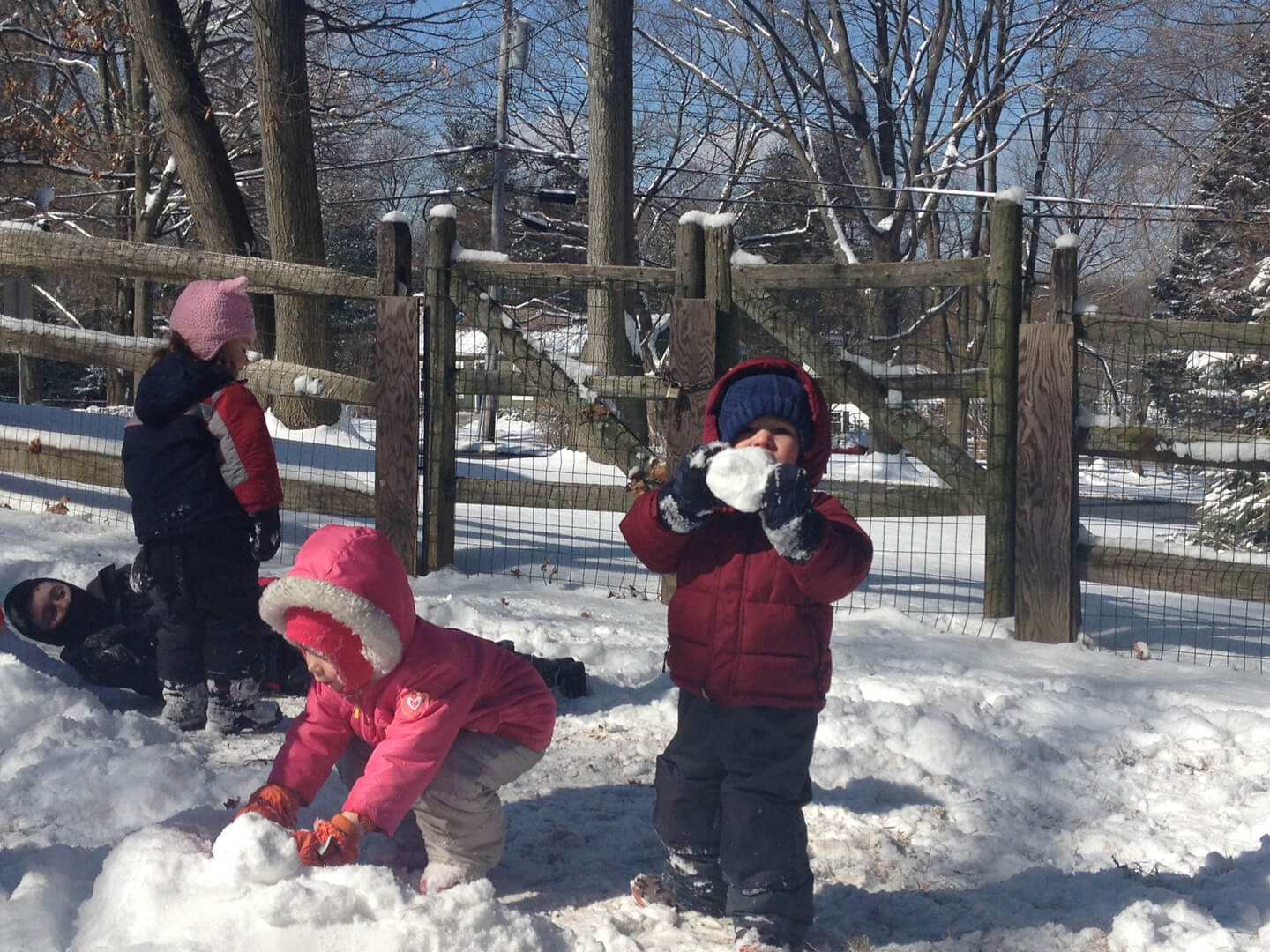 Four children playing with snow