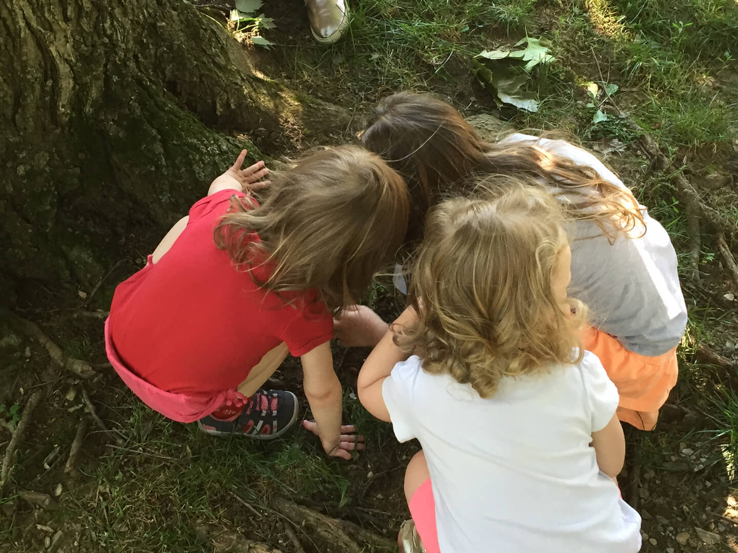 Three girls looking at tree roots