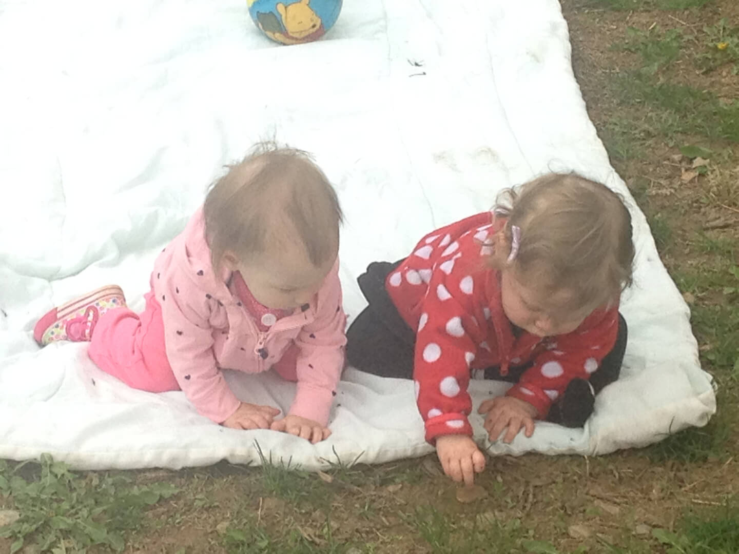 Two toddlers playing with grass
